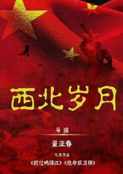 2024年国产大陆电视剧《西北岁月》全39集 [迅雷BT磁力免费下载]