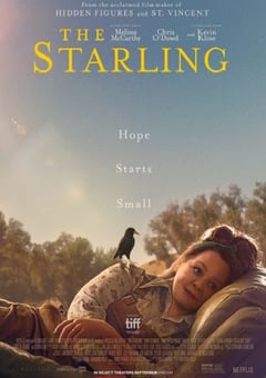 2021年美国剧情片《八哥》HD英语中字 [迅雷BT磁力免费下载]