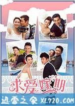 求爱嫁期 (2014) [迅雷BT磁力免费下载]