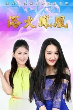 2015中国大陆电影《浴火凤凰》1080p高清 4K网盘迅雷下载