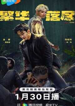 2026年国产大陆电视剧《繁华落尽》连载至34 [迅雷BT磁力免费下载]