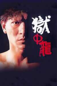 1990香港电影《狱中龙》1080p高清 4K网盘迅雷下载