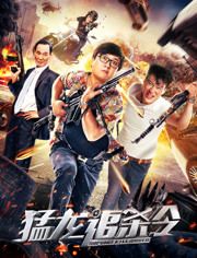 2020中国大陆电影《猛龙追杀令》1080p高清 4K网盘迅雷下载