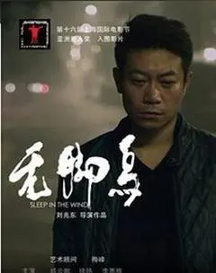 2013中国大陆电影《无脚鸟》1080p高清 4K网盘迅雷下载