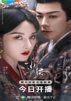 2025年国产大陆电视剧《折腰》全36集 [迅雷BT磁力免费下载]