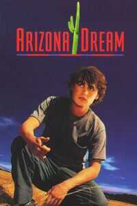 1993美国电影《亚利桑纳之梦》1080p高清 4K网盘迅雷下载
