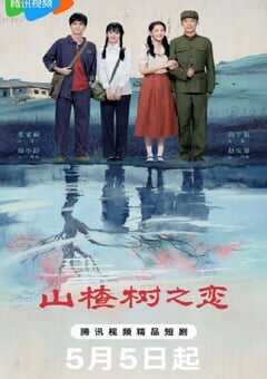 2025年国产大陆电视剧《山楂树之恋》全18集 [迅雷BT磁力免费下载]