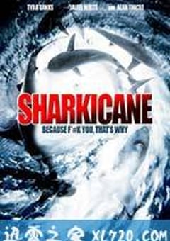 鲨卷风2 Sharknado 2: The Second One (2014) [迅雷BT磁力免费下载]
