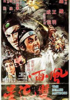 1976年中国香港经典武侠片《风雨双流星》蓝光国语中字 [迅雷BT磁力免费下载]