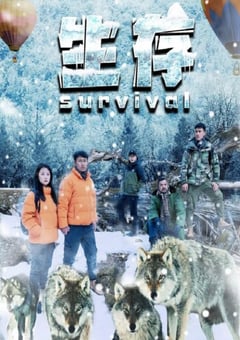 2024年国产动作片《生存》HD国语中字 [迅雷BT磁力免费下载]