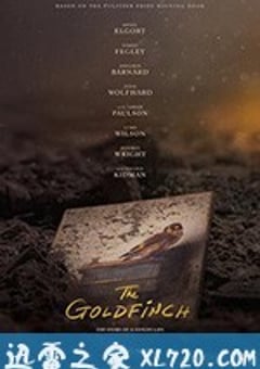金翅雀 The Goldfinch (2019) [迅雷BT磁力免费下载]