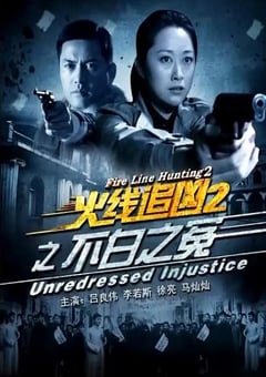 2013年国产经典动作片《火线追凶2之不白之冤》HD国语中字 [迅雷BT磁力免费下载]