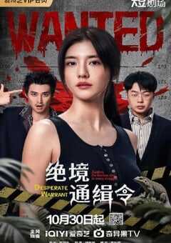 2025年国产大陆电视剧《绝境通缉令》全24集 [迅雷BT磁力免费下载]