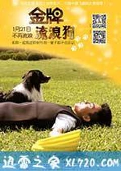 金牌流浪狗 (2013) [迅雷BT磁力免费下载]