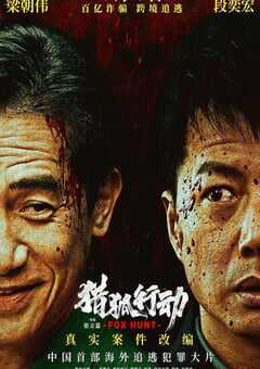 2025年国产动作片《猎狐·行动》HD国语中字修正版 [迅雷BT磁力免费下载]