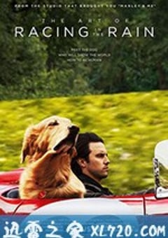 我在雨中等你 The Art of Racing in the Rain (2019) [迅雷BT磁力免费下载]
