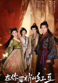 2026年国产大陆电视剧《在你眉梢种红豆》全24集 [迅雷BT磁力免费下载]