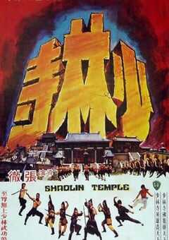 1976年中国香港经典动作片《少林寺》蓝光国语中英双字 [迅雷BT磁力免费下载]