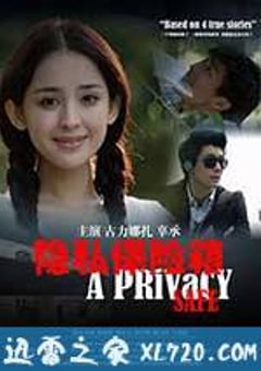 隐私保险箱 (2013) [迅雷BT磁力免费下载]