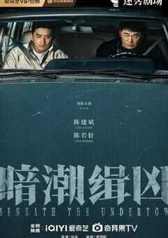 2025年国产大陆电视剧《暗潮缉凶》连载至19 [迅雷BT磁力免费下载]