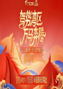 驾势湾区万马奔腾——2026粤港澳大湾区春节晚会HD国语中字 [迅雷BT磁力免费下载]