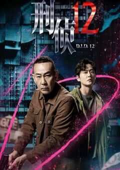 2025年中国香港电视剧《刑侦12 国语版》全25集 [迅雷BT磁力免费下载]