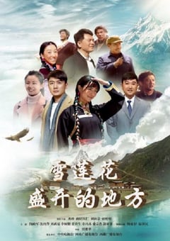 2023年国产大陆电视剧《雪莲花盛开的地方》全32集 [迅雷BT磁力免费下载]