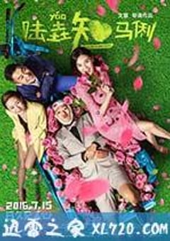 陆垚知马俐 (2016) [迅雷BT磁力免费下载]