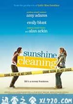 阳光清洗 Sunshine Cleaning (2008) [迅雷BT磁力免费下载]