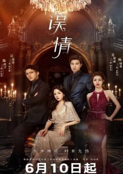 2024年国产大陆电视剧《误情》全20集 [迅雷BT磁力免费下载]