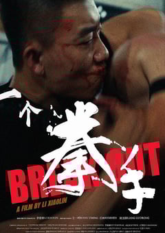 2026年国产动作片《一个拳手》HD国语中字 [迅雷BT磁力免费下载]