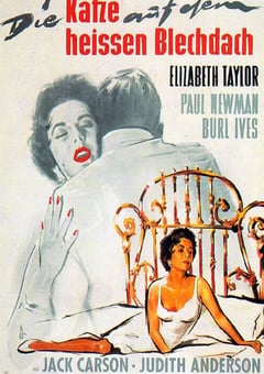 1958年美国经典剧情片《朱门巧妇》蓝光中英双字 [迅雷BT磁力免费下载]
