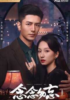 2024年国产大陆电视剧《念念勿忘》连载至24 [迅雷BT磁力免费下载]