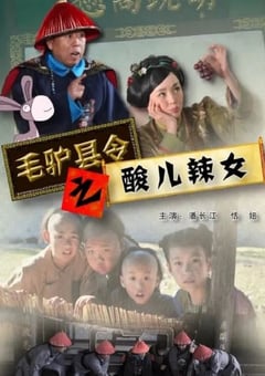 2014年国产喜剧片《毛驴县令之酸儿辣女》HD国语中字 [迅雷BT磁力免费下载]