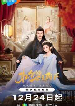 2025年国产大陆电视剧《机智的公主殿下》全26 [迅雷BT磁力免费下载]