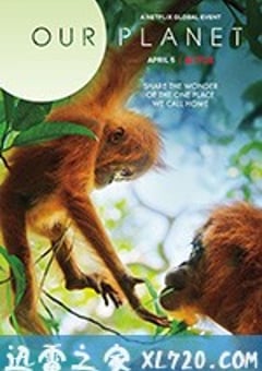 我们的星球 Our Planet (2019) [迅雷BT磁力免费下载]