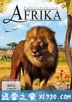 魅力非洲3D Faszination Afrika 3D (2011) [迅雷BT磁力免费下载]