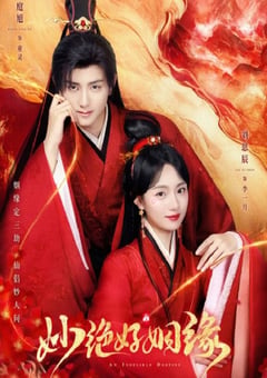 2024年国产大陆电视剧《妙绝好姻缘》全18集 [迅雷BT磁力免费下载]
