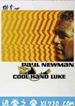 铁窗喋血 Cool Hand Luke (1967) [迅雷BT磁力免费下载]