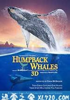 座头鲸 Humpback Whales (2015) [迅雷BT磁力免费下载]