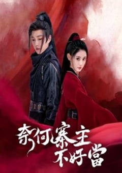 2023年国产大陆电视剧《奈何寨主不好当》全15集 [迅雷BT磁力免费下载]