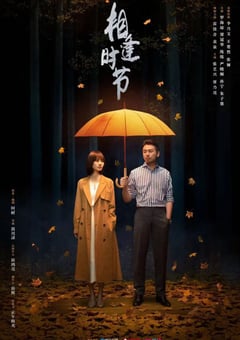 2022年国产大陆电视剧《相逢时节》全38集 [迅雷BT磁力免费下载]