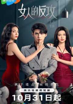 2024年国产大陆电视剧《女人的反攻》全24集 [迅雷BT磁力免费下载]