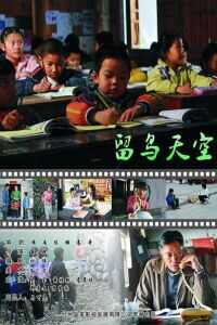 2010中国大陆电影《留鸟天空》1080p高清 4K网盘迅雷下载