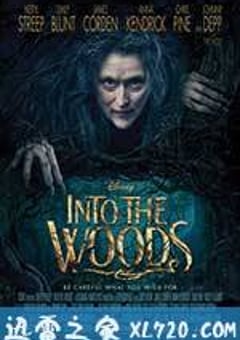 魔法黑森林 Into the Woods (2014) [迅雷BT磁力免费下载]