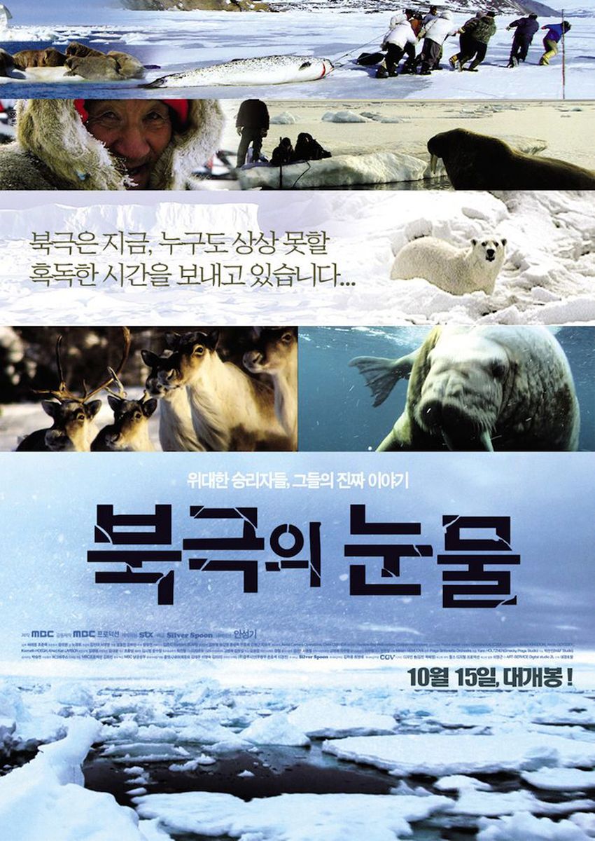 2009韩国电影《北極的眼淚》1080p高清 4K网盘迅雷下载