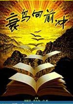 衰鸟向前冲 (2013) [迅雷BT磁力免费下载]
