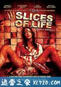 分割人生 Slices of Life (2010) [迅雷BT磁力免费下载]
