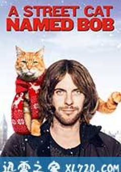 流浪猫鲍勃 A Street Cat Named Bob (2016) [迅雷BT磁力免费下载]