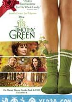 蒂莫西的奇异生活 The Odd Life of Timothy Green (2012) [迅雷BT磁力免费下载]
